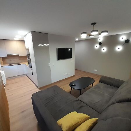Vytes Apartamentai Kaunas Extérieur photo