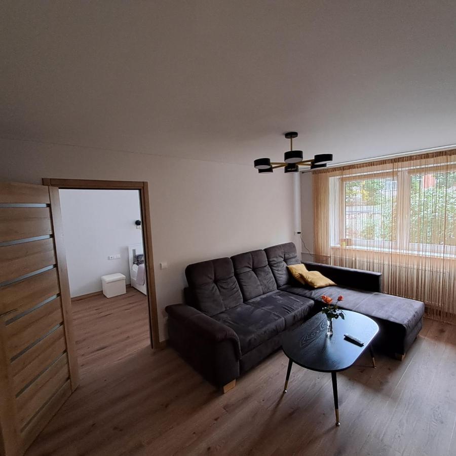 Vytes Apartamentai Kaunas Extérieur photo
